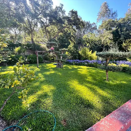 Refugio Da Povoa * Anadia