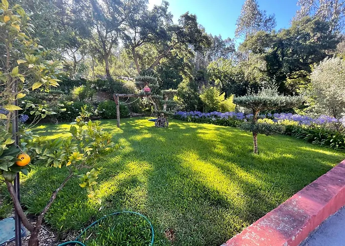 Refugio Da Povoa * Anadia